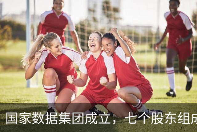 国家数据集团成立，七个股东组成天团