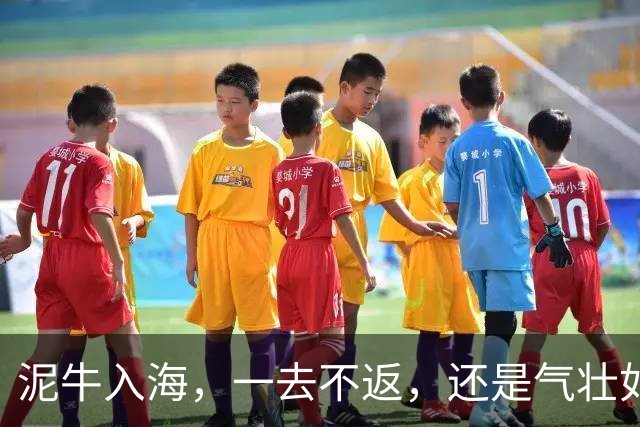 泥牛入海，一去不返，还是气壮如牛，卷土重来？这些新星给出了答案
